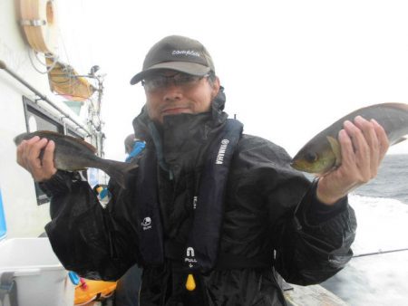 大進丸（愛知） 釣果