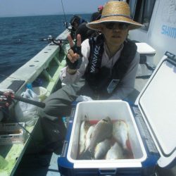 大進丸(愛知) 釣果