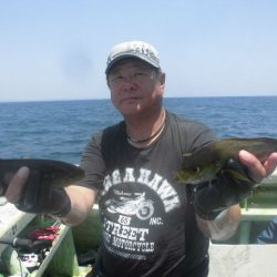 大進丸(愛知) 釣果