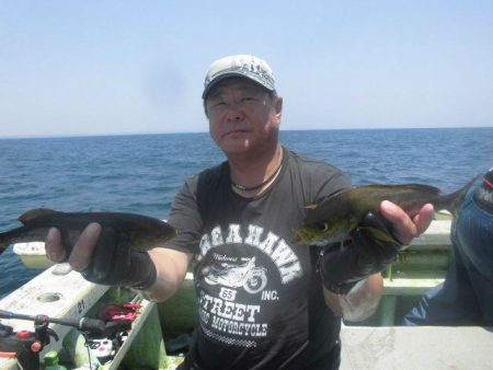 大進丸(愛知) 釣果