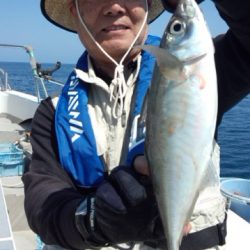 泰丸 釣果