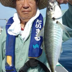 泰丸 釣果