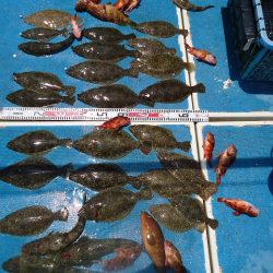 十八宝洋丸 釣果