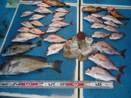 十八宝洋丸 釣果