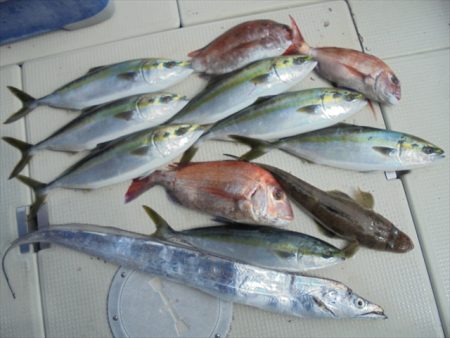 ＨＡＲＵＫＡ丸　はるかまる 釣果