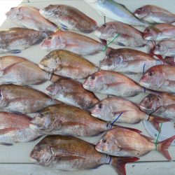 HARUKA丸 はるかまる 釣果