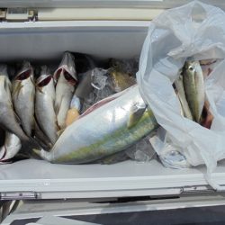 ＨＡＲＵＫＡ丸　はるかまる 釣果