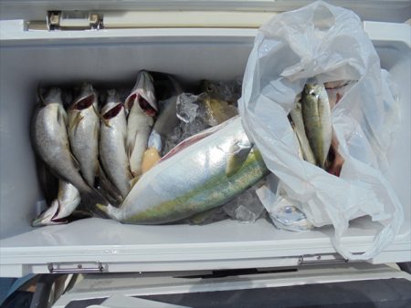 ＨＡＲＵＫＡ丸　はるかまる 釣果