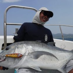 ローカルフィッシング 西表 マリンボックス 釣果