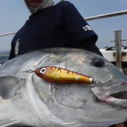 ローカルフィッシング 西表 マリンボックス 釣果