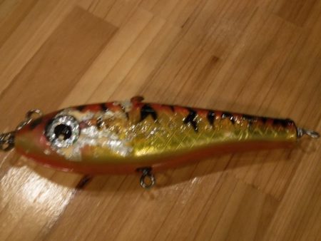 ローカルフィッシング 西表 マリンボックス 釣果