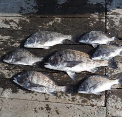 バラモン1号 釣果