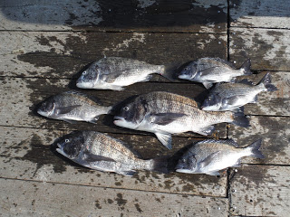 バラモン1号 釣果