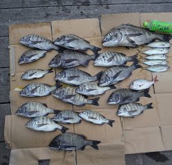 バラモン1号 釣果