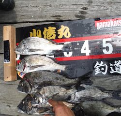 バラモン1号 釣果