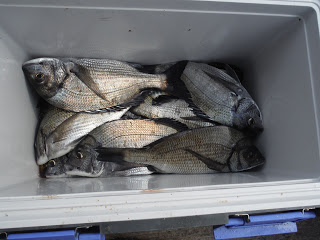 バラモン1号 釣果