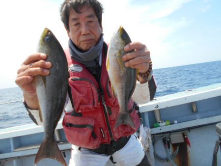 大進丸（愛知） 釣果