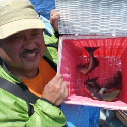 大進丸（愛知） 釣果