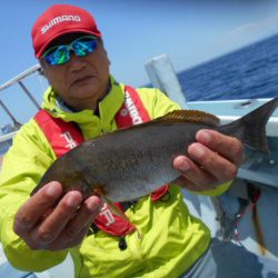 大進丸（愛知） 釣果