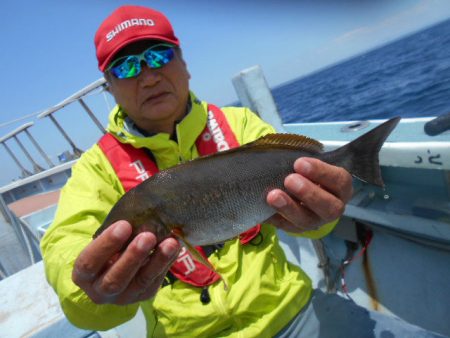 大進丸（愛知） 釣果