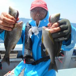 大進丸（愛知） 釣果