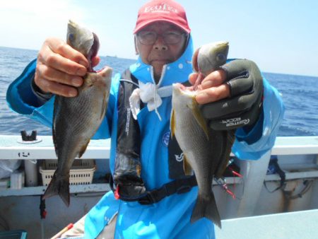 大進丸（愛知） 釣果