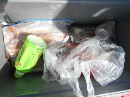 大進丸(愛知) 釣果