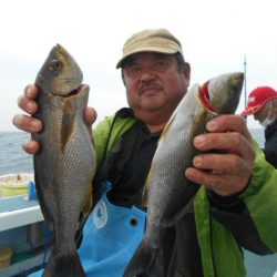 大進丸（愛知） 釣果
