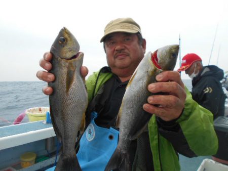 大進丸（愛知） 釣果