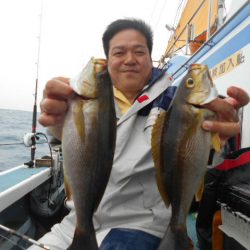 大進丸（愛知） 釣果