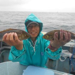 大進丸（愛知） 釣果