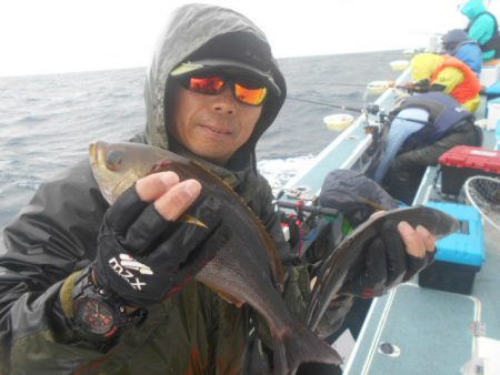 大進丸（愛知） 釣果