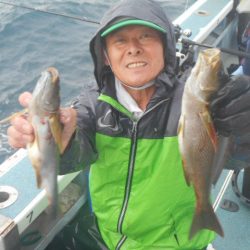 大進丸（愛知） 釣果