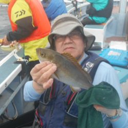 大進丸（愛知） 釣果