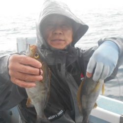 大進丸（愛知） 釣果