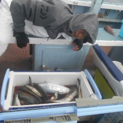 大進丸（愛知） 釣果