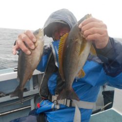 大進丸（愛知） 釣果