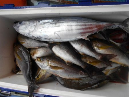 大進丸（愛知） 釣果