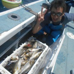 大進丸(愛知) 釣果