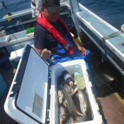 大進丸(愛知) 釣果