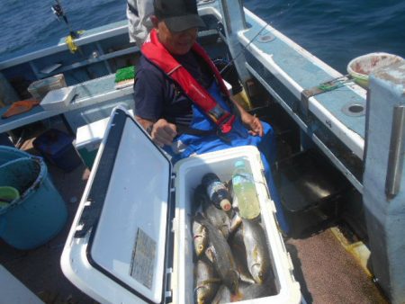 大進丸(愛知) 釣果