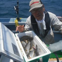 大進丸(愛知) 釣果