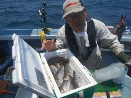 大進丸(愛知) 釣果