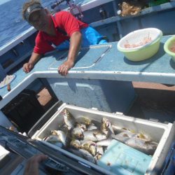 大進丸(愛知) 釣果