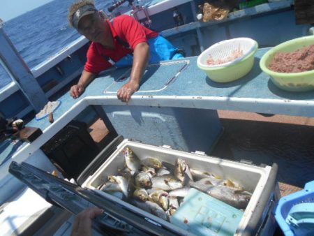 大進丸(愛知) 釣果