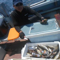 大進丸(愛知) 釣果