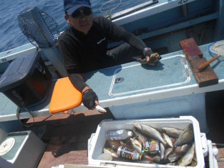 大進丸(愛知) 釣果