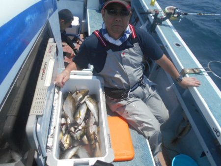 大進丸(愛知) 釣果