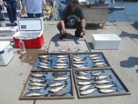 大進丸(愛知) 釣果