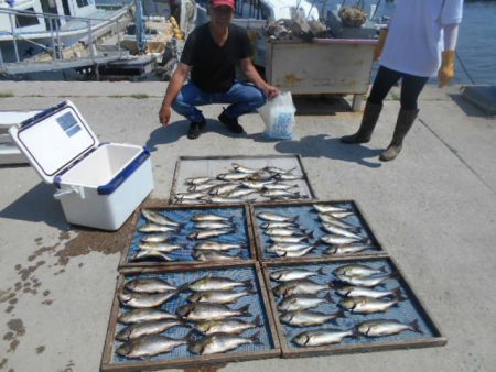 大進丸(愛知) 釣果